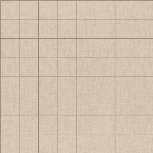Arielle - Transparent & Beige