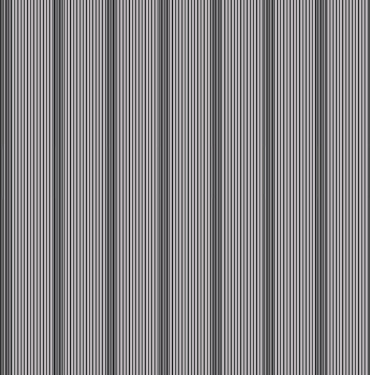 Hector- Gris