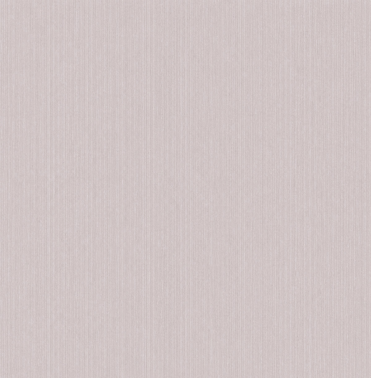 Noe - Gris