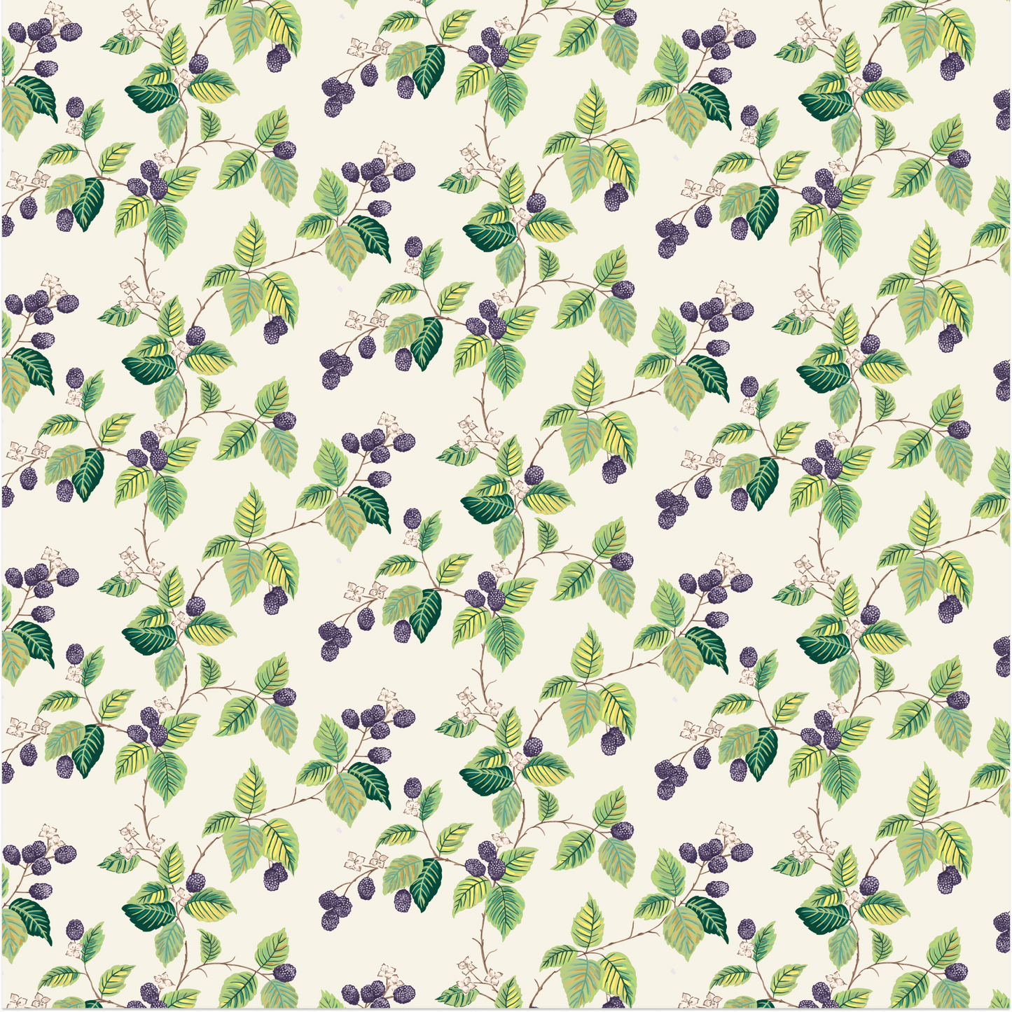 Regina - Blue Berry