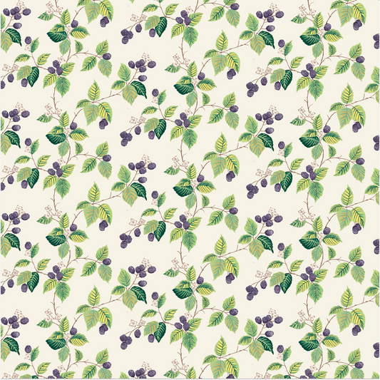 Regina - Blue Berry