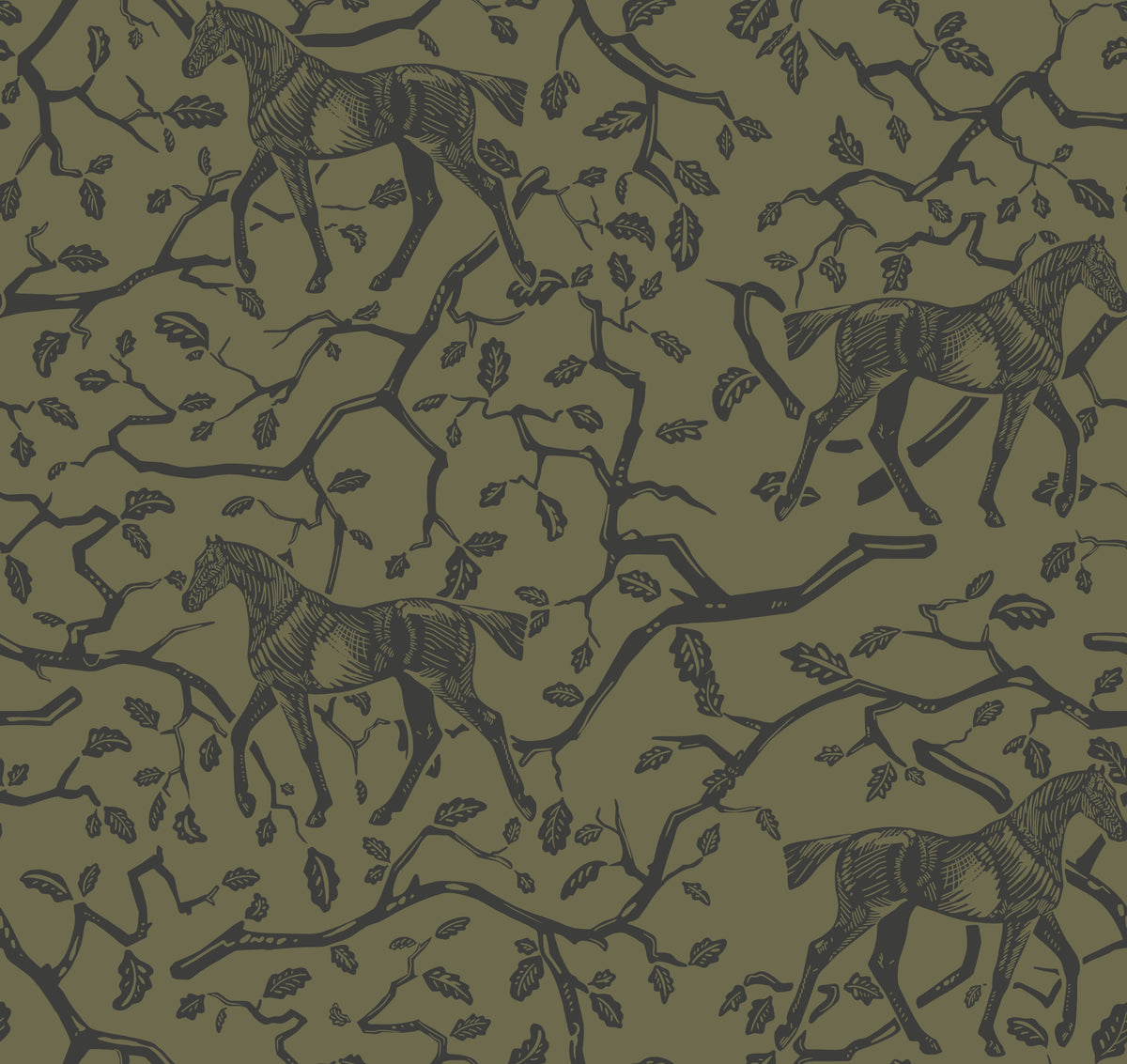 Francisco - Olive