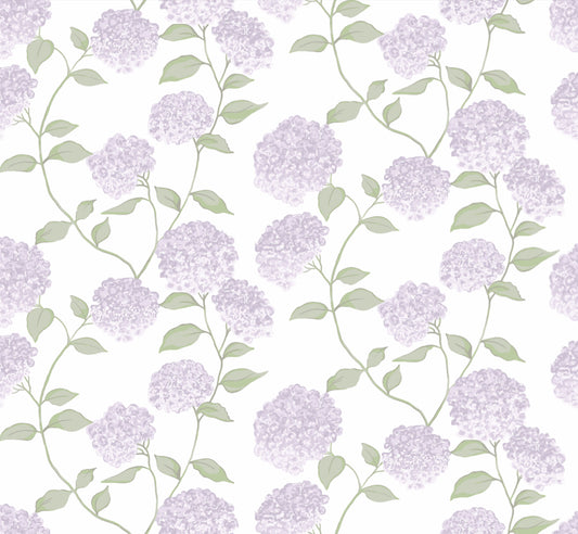 Hortencia - Morado
