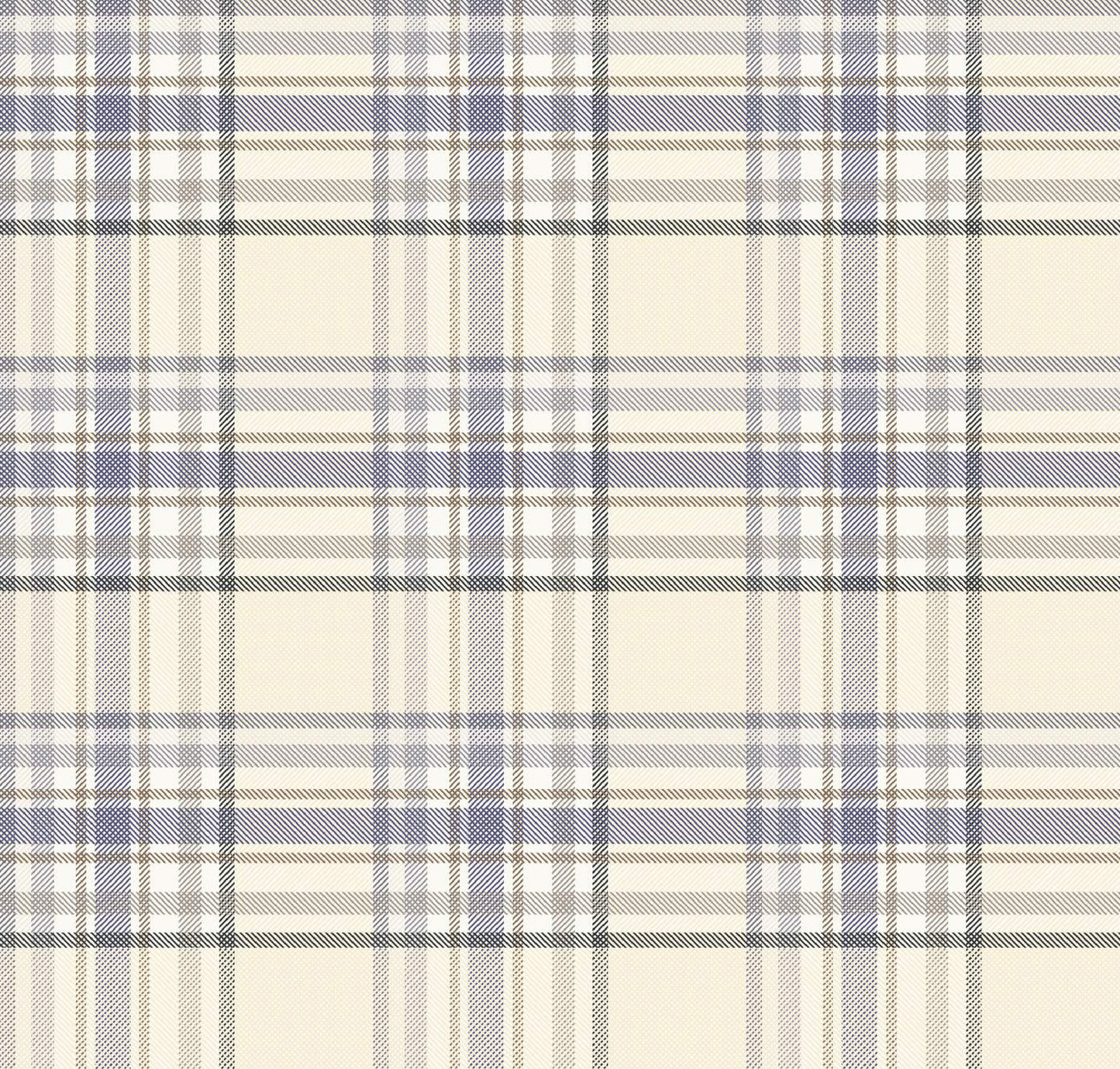 Juan - White & Beige