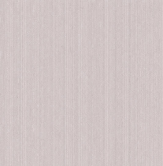 Noe - Gris