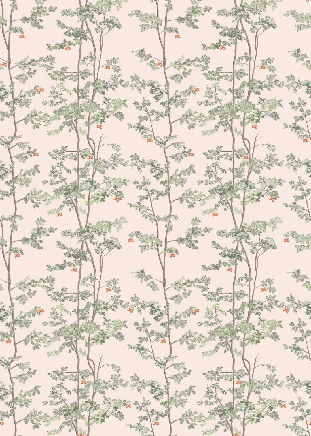 Priscilla - Tejocotes