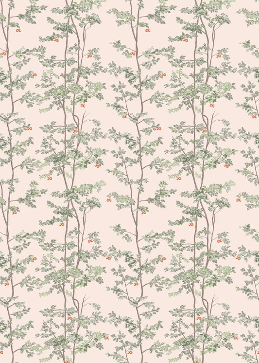 Priscilla - Tejocotes