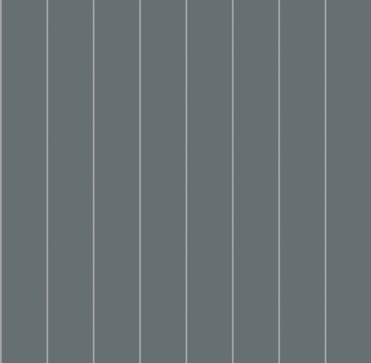 Ricardo - Gris
