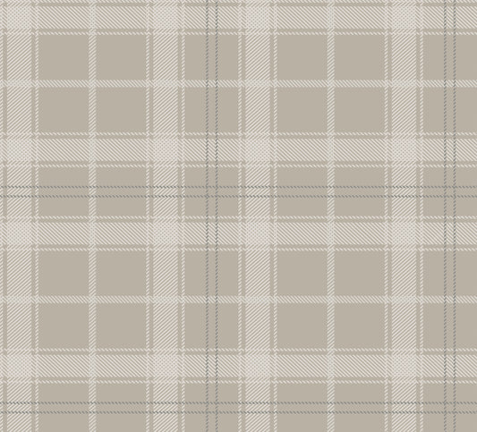Victor- Gris